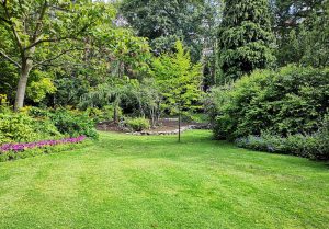 Optimiser l'expérience du jardin à Doulaincourt-Saucourt